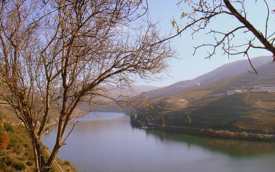 Douro faz 20 anos de Património Mundial