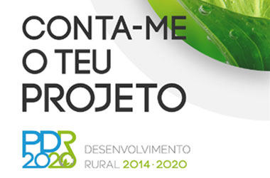 Conheça 10 projetos inspiradores do PDR 2020