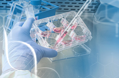 Projeto ‘GenSpec’ avalia o papel do microambiente no desenvolvimento do cancro