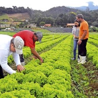 GAL preocupados com impacto da pandemia nos territórios rurais