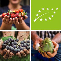 Plano de Ação europeu para estimular a produção biológica