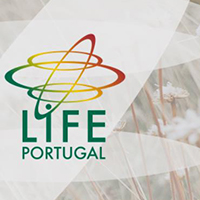 Workshops Regionais de Capacitação para o programa LIFE